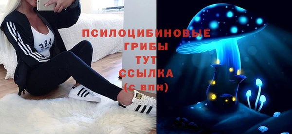 СК Богородицк