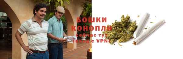 СК Богородицк