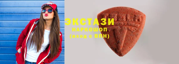 СК Богородицк