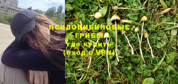 СК Богородицк