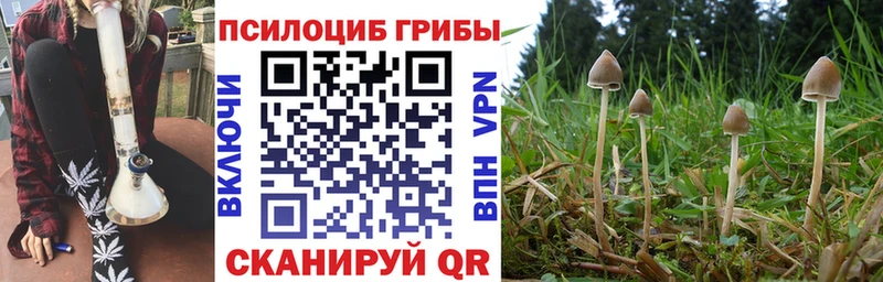 Галлюциногенные грибы GOLDEN TEACHER  закладка  Кинель 